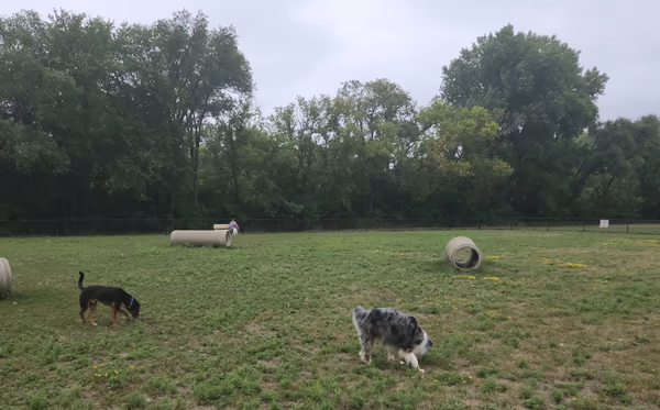 Waverly Dog Run photo 1